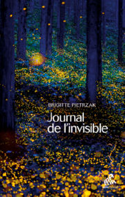 PIETRZAK Brigitte Journal de l´invisible Librairie Eklectic