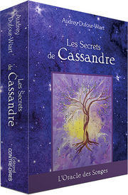 DUFOUR-WIART AUDREY Coffret Les secrets de Cassandre
 Librairie Eklectic