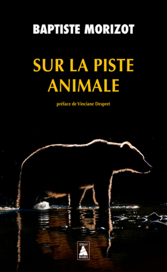 MORIZOT Baptiste Sur la piste animale (préface de Vinciane Despret) Librairie Eklectic