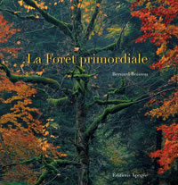 BOISSON Bernard La Forêt primordiale (édition 2008) - SOLDE EDITEUR 19€ au lieu de 42 € Librairie Eklectic