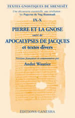 WAUTIER André Textes Gnostiques de Shenesêt - Tome 9-10 : Pierre et la Gnose, suivi de Apocalypse de Jacques,... Librairie Eklectic
