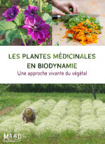 Collectif Les Plantes mÃ©dicinales en biodynamie. Une approche vivante du vÃ©gÃ©tal Librairie Eklectic