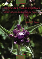 BAUER L´énigme des formes végétales. Observations d´arbres et de fleurs - Les cahiers de Biodynamis Librairie Eklectic