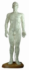 - Mannequin d´acupuncture homme, 48 cm en plastique souple Librairie Eklectic