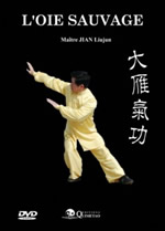 JIAN Liujun Dr Oie sauvage (L´) - DVD Librairie Eklectic
