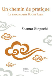 SHAMAR Rinpoché Un chemin de pratique. Le programme Bodhi Path Librairie Eklectic