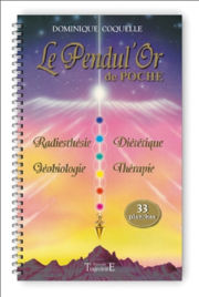 COQUELLE Dominique Le Pendul´Or, version poche : Livret spiralé de 33 planches Librairie Eklectic