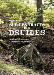 RIO Bernard Sur les traces des Druides. 50 lieux surprenants à découvrir en France Librairie Eklectic