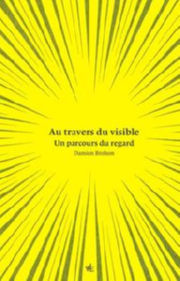 BROHON Damien Au travers du visible - Un parcours du regard Librairie Eklectic
